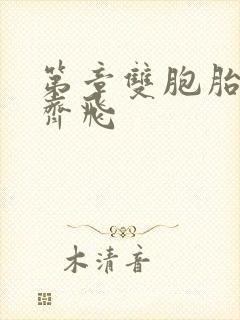 第章双胞胎姐妹齐飞