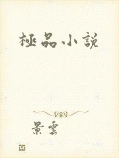 极品小说