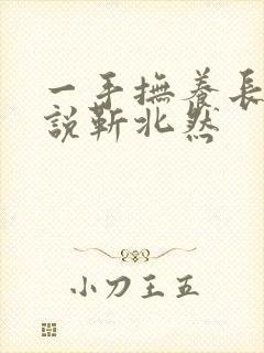 一手抚养长大小说靳北然