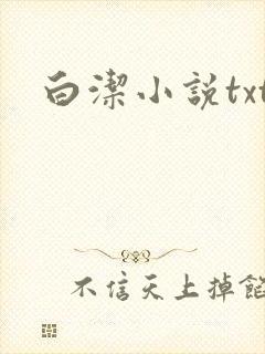 白洁小说txt