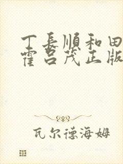 丁长顺和田晓兰霍吕茂正版