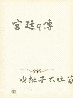 宫廷q传