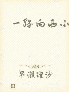 一路向西小说