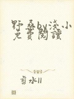 野桑by浅小说免费阅读