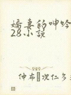 娇妻的呻吟1—28小说