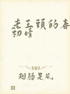 老王头的春天林初晴