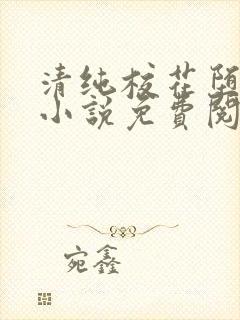 清纯校花堕落记小说免费阅读