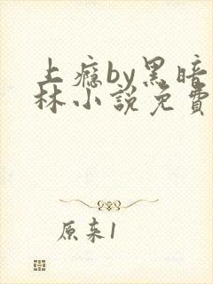 上瘾by黑暗森林小说免费