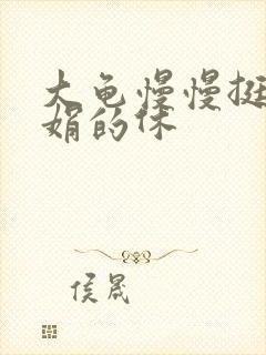 大龟慢慢挺进张娟的休