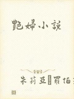 艳妇小说