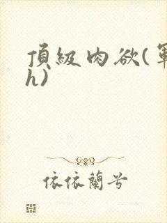 顶级肉欲(军高h)