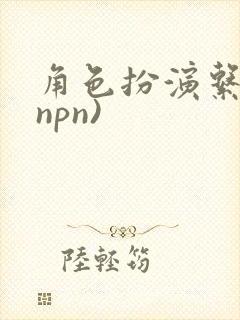 角色扮演系统(npn)
