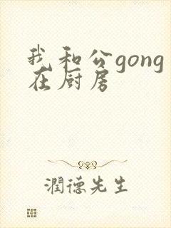 我和公gong在厨房