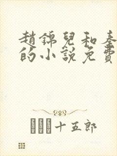 赵锦儿和秦慕修的小说免费阅读全文