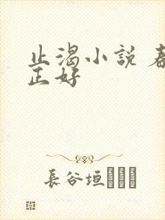 止渴小说 春光正好