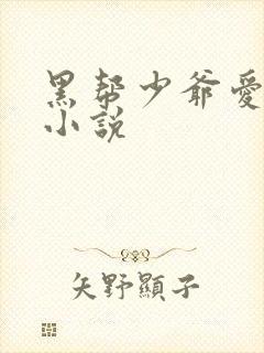 黑帮少爷爱上我小说