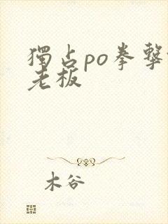 独占po拳击馆老板