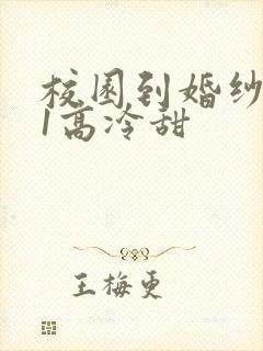 校园到婚纱1V1高冷甜