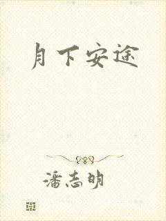 月下安途