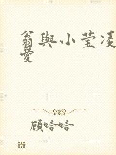 翁与小莹凌晨欢爱