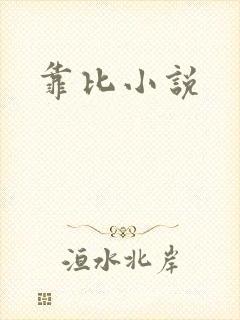 靠比小说