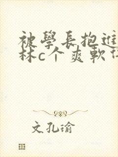 被学长抱进小树林c个爽软件