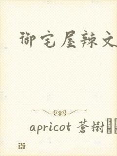 御宅屋辣文