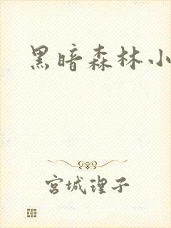 黑暗森林小说