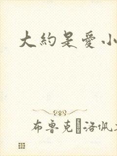 大约是爱小说