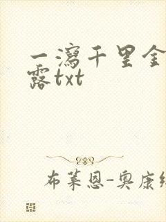 一泻千里金银花露txt