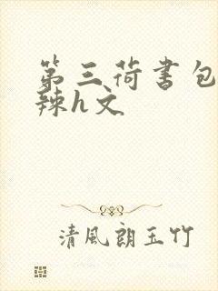 第三荷书包网高辣h文