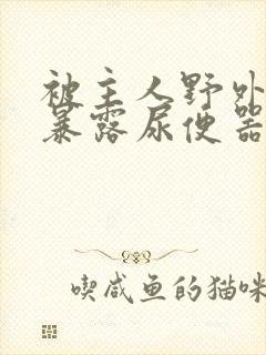 被主人野外调教暴露尿便器