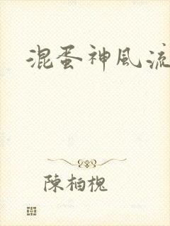 混蛋神风流