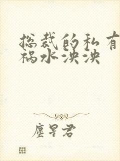 总裁的私有宝贝祸水泱泱