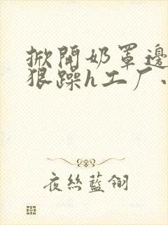 掀开奶罩边躁狠狠躁h工厂小说