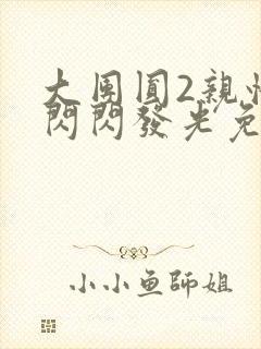 大团圆2亲情会闪闪发光免费