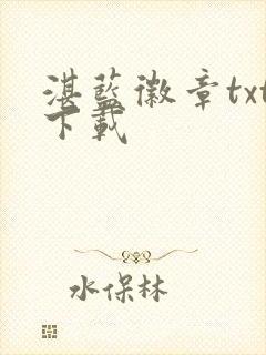 湛蓝徽章txt下载