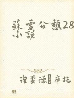 苏雪公憩28篇小说