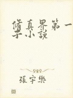 修真界第一病秧子小说