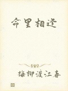 命里相逢