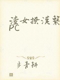 渣女撩汉系统NPC