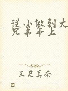 从小做到大骨科兄弟年上