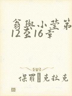 翁与小莹第十部12至16章