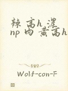 辣 高h 浓 np 肉 黄高h