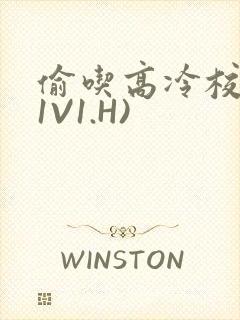 偷吃高冷校草(1V1.H)