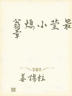 翁熄小莹最新节章