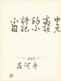 小诗的高中成长日记小说免费阅读