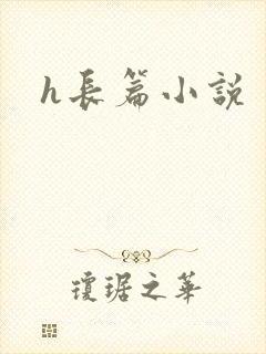 h长篇小说