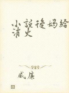 小说后妈给我消消火