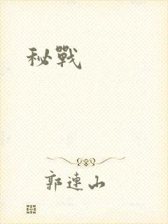 秘战